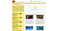 Desktop Screenshot of dreamvisionindia.com